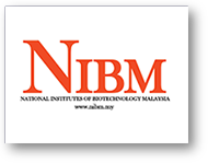 NIBM Logo